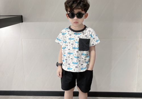 BỘ COTTON IN HÌNH MÁY BAY