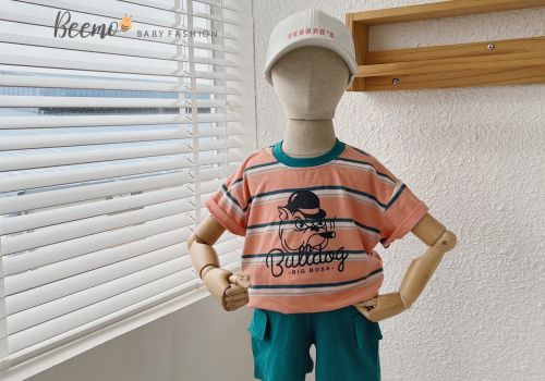 BỘ COTTON BULL DOG 