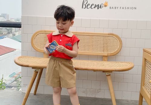 SET BA LỖ IN HÌNH Ô TÔ